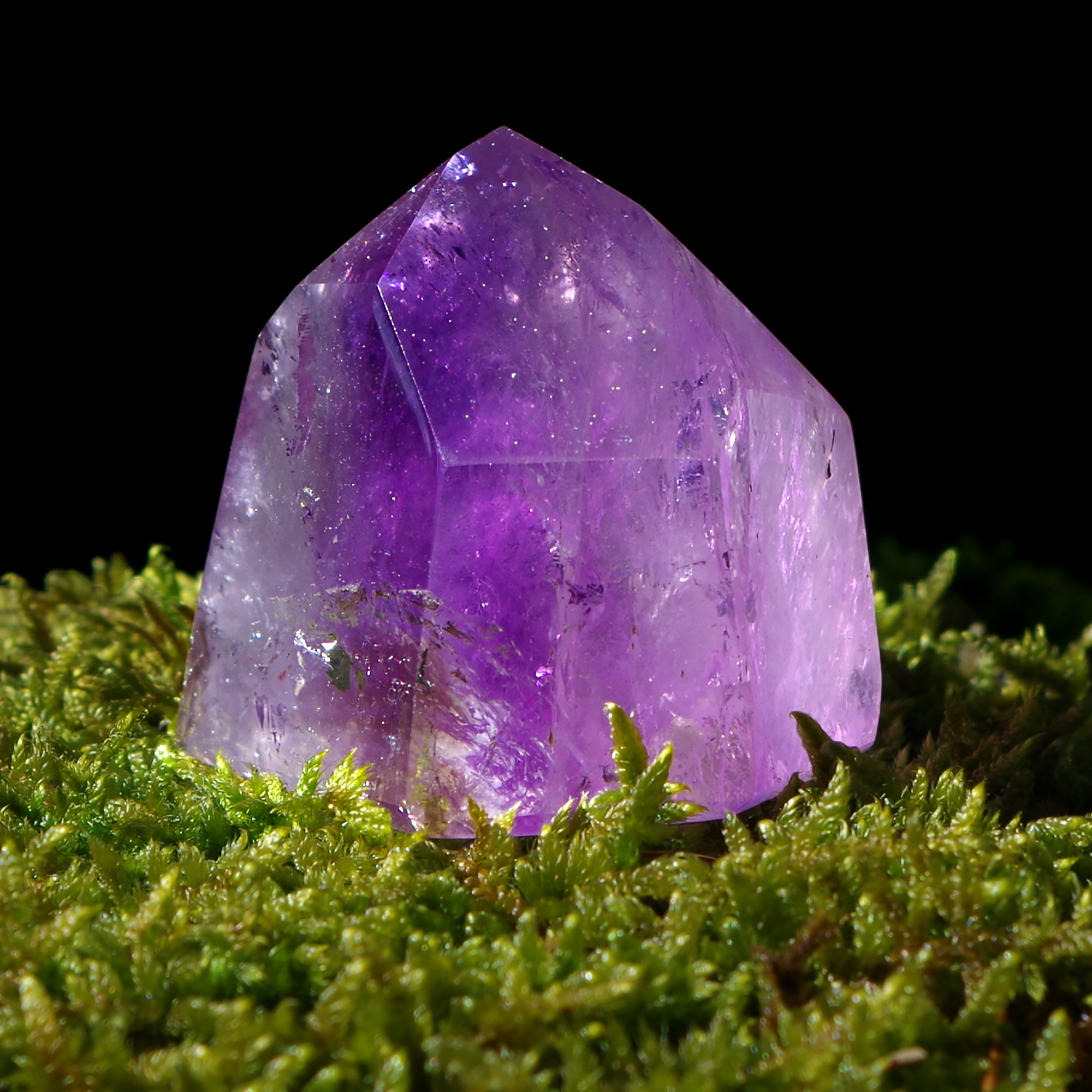 borrador automático