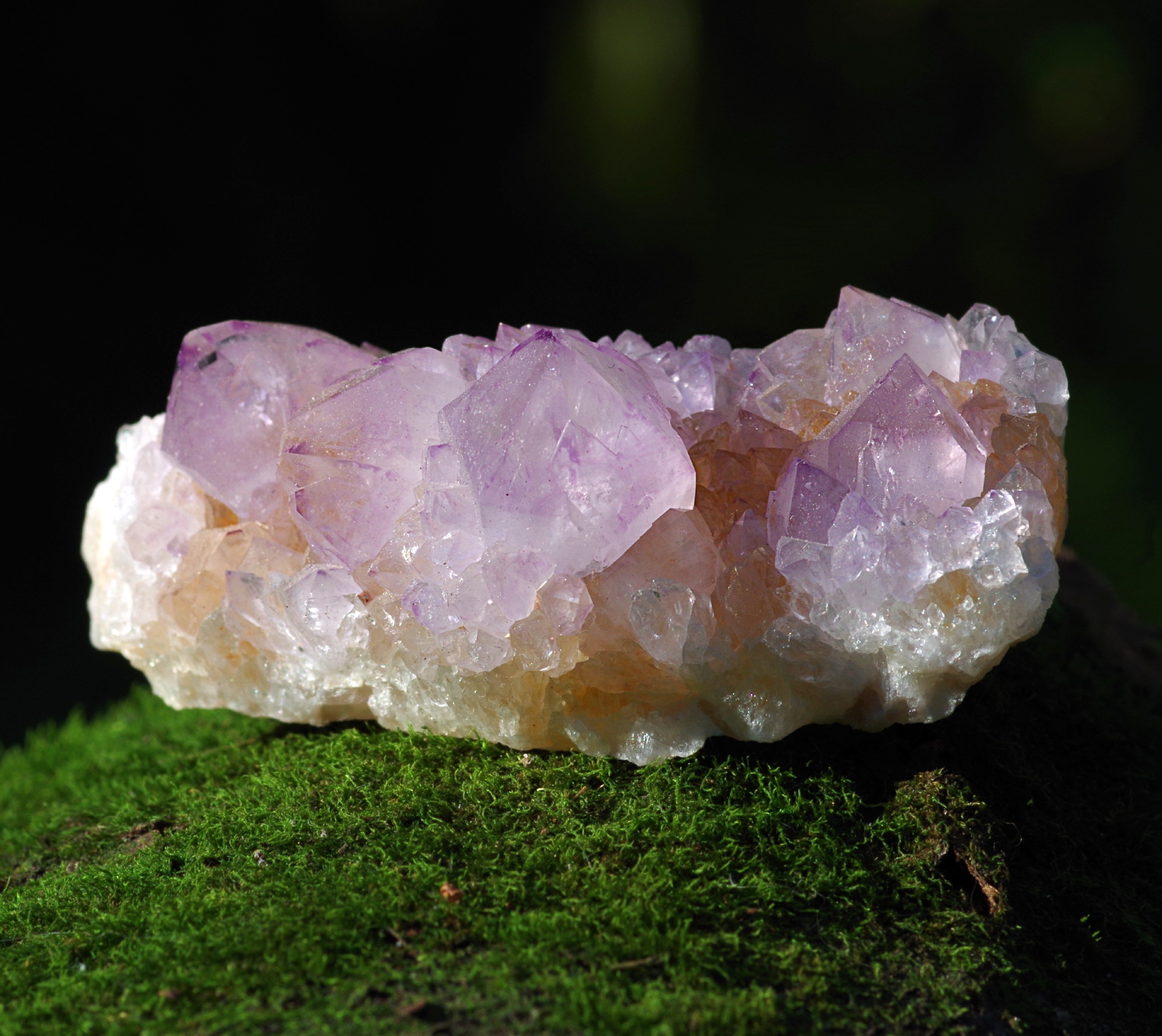 brouillon automatique