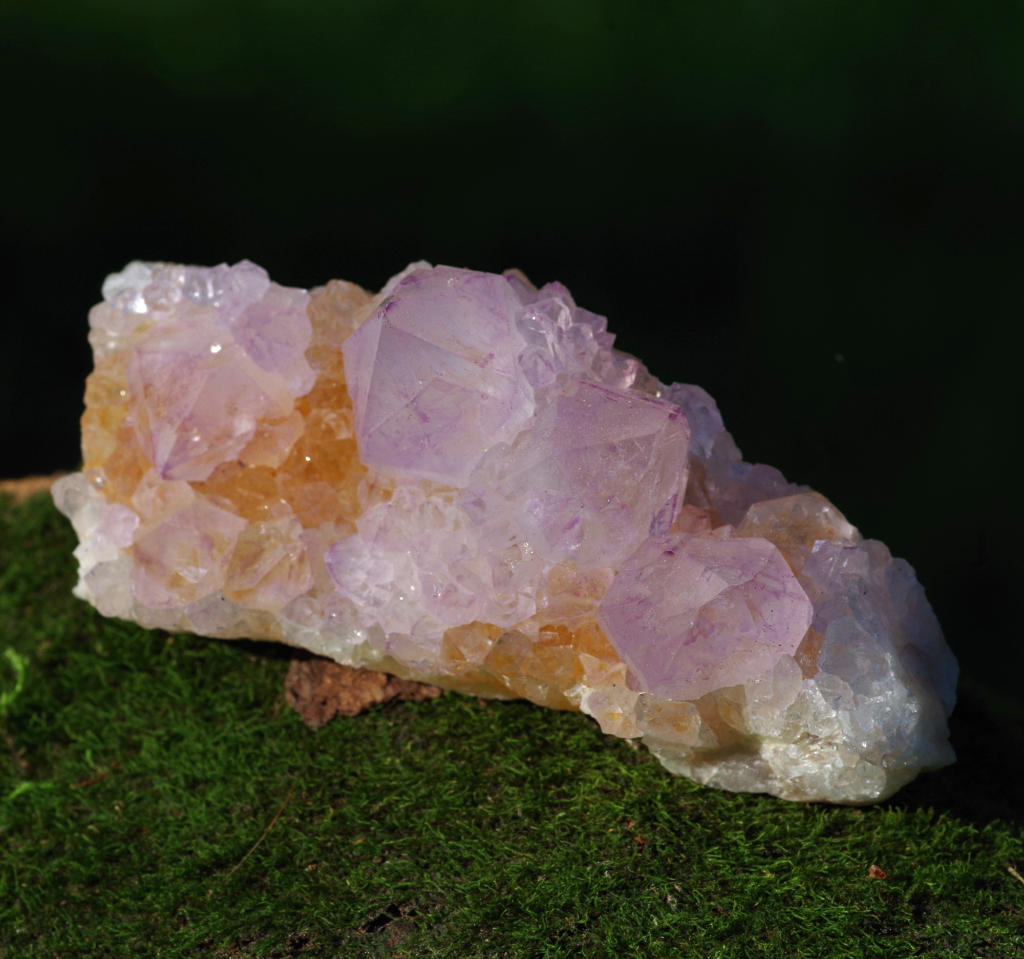 brouillon automatique