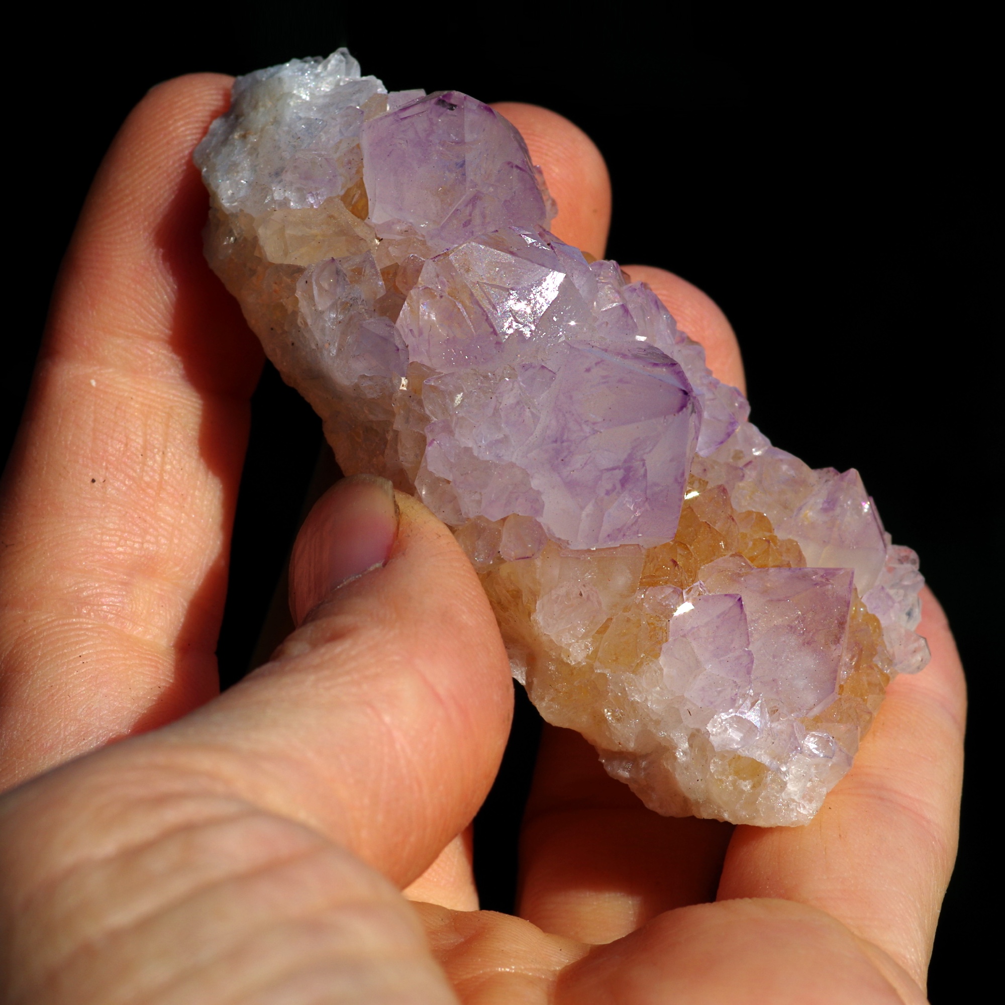 brouillon automatique