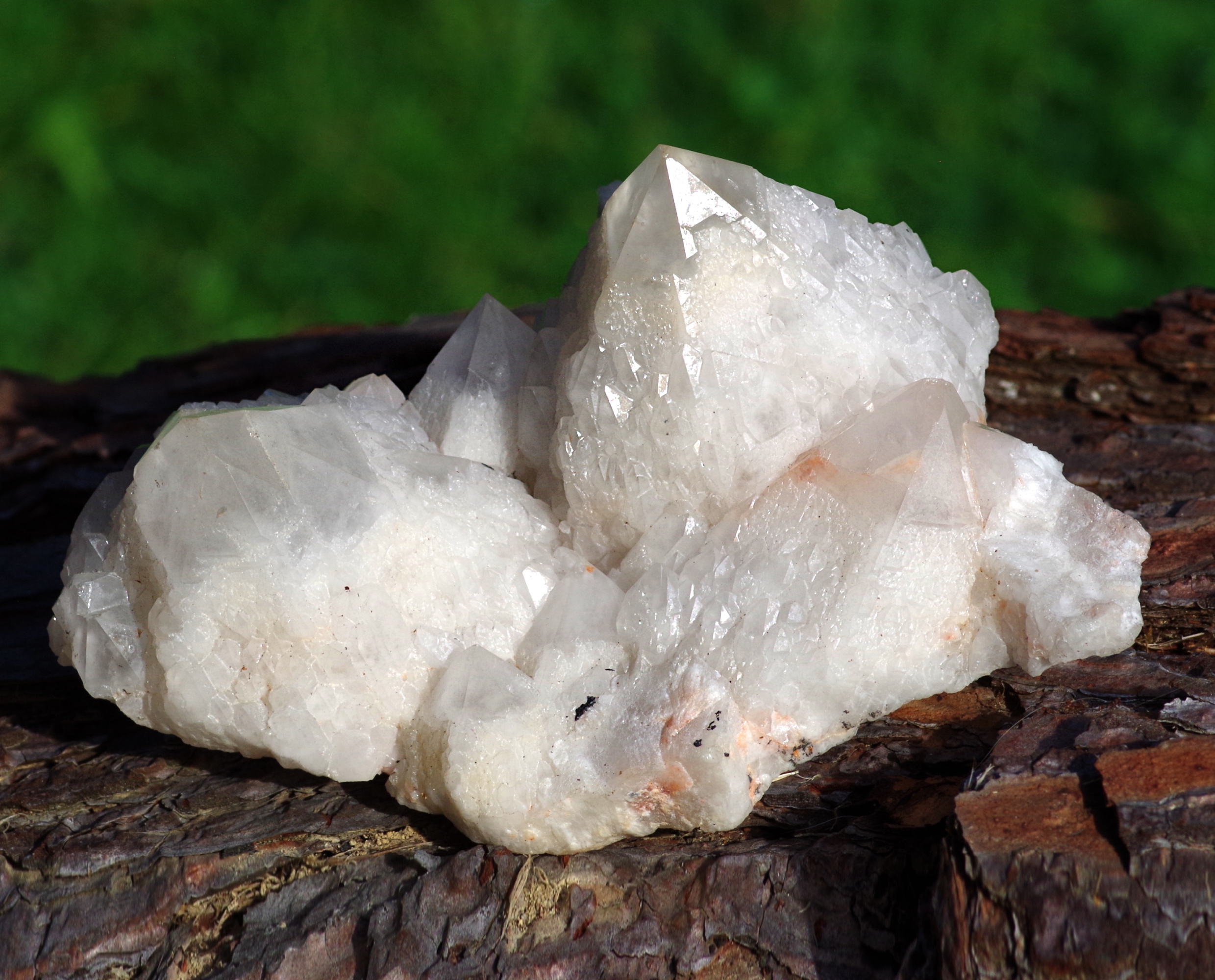 brouillon automatique