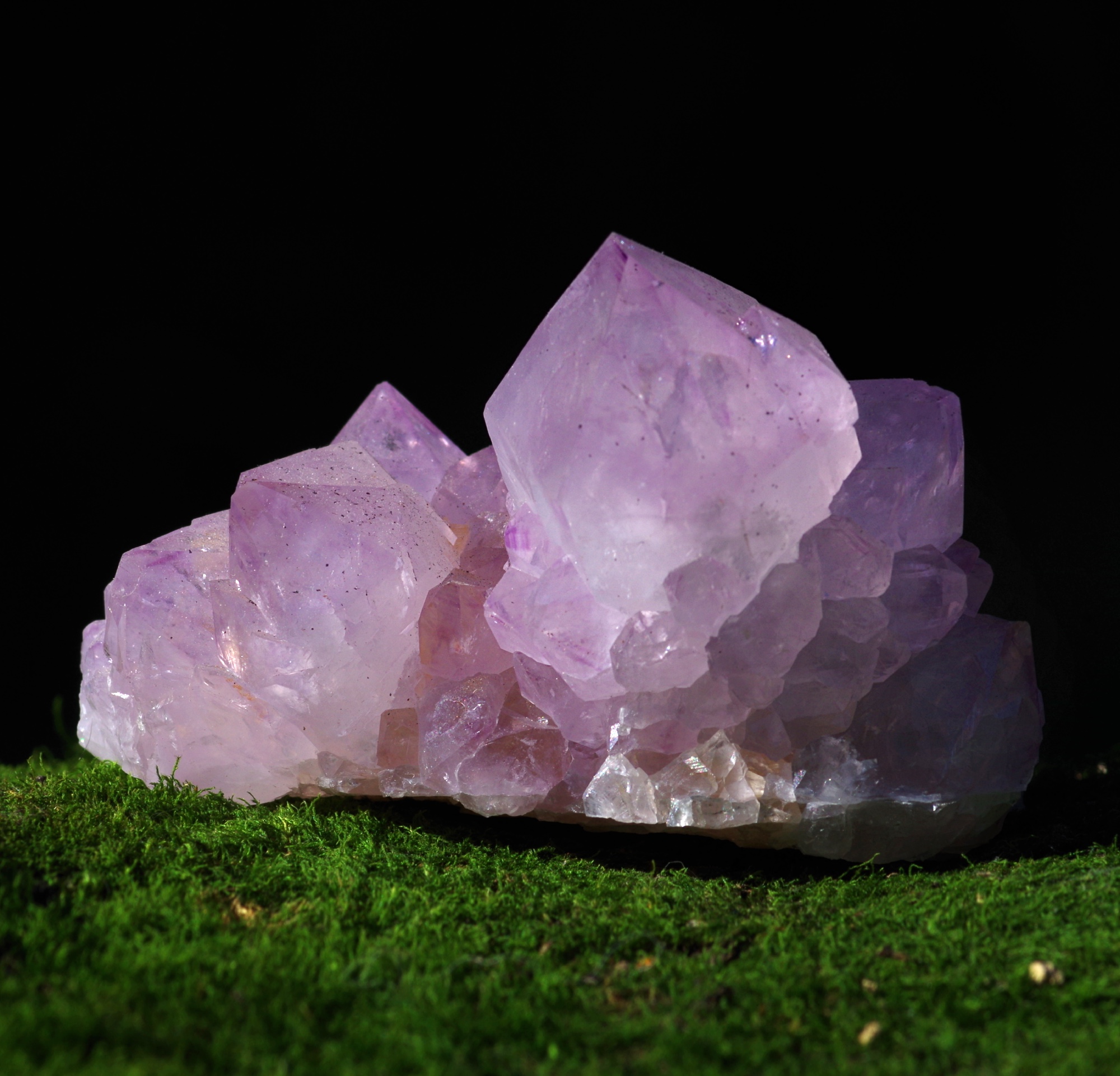 quartz cactus améthyste fantastique, Afrique du Sud