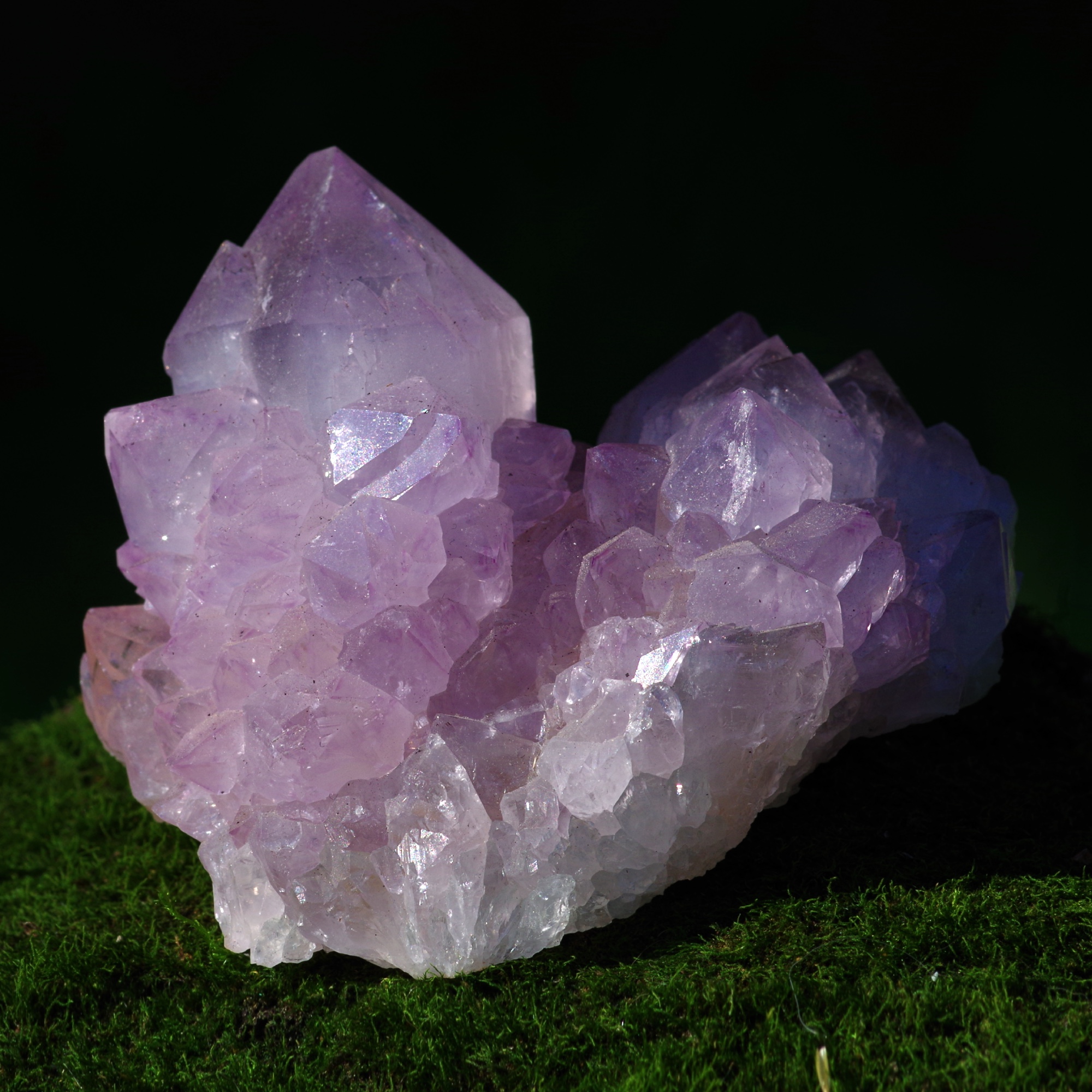 quartz cactus améthyste fantastique, Afrique du Sud