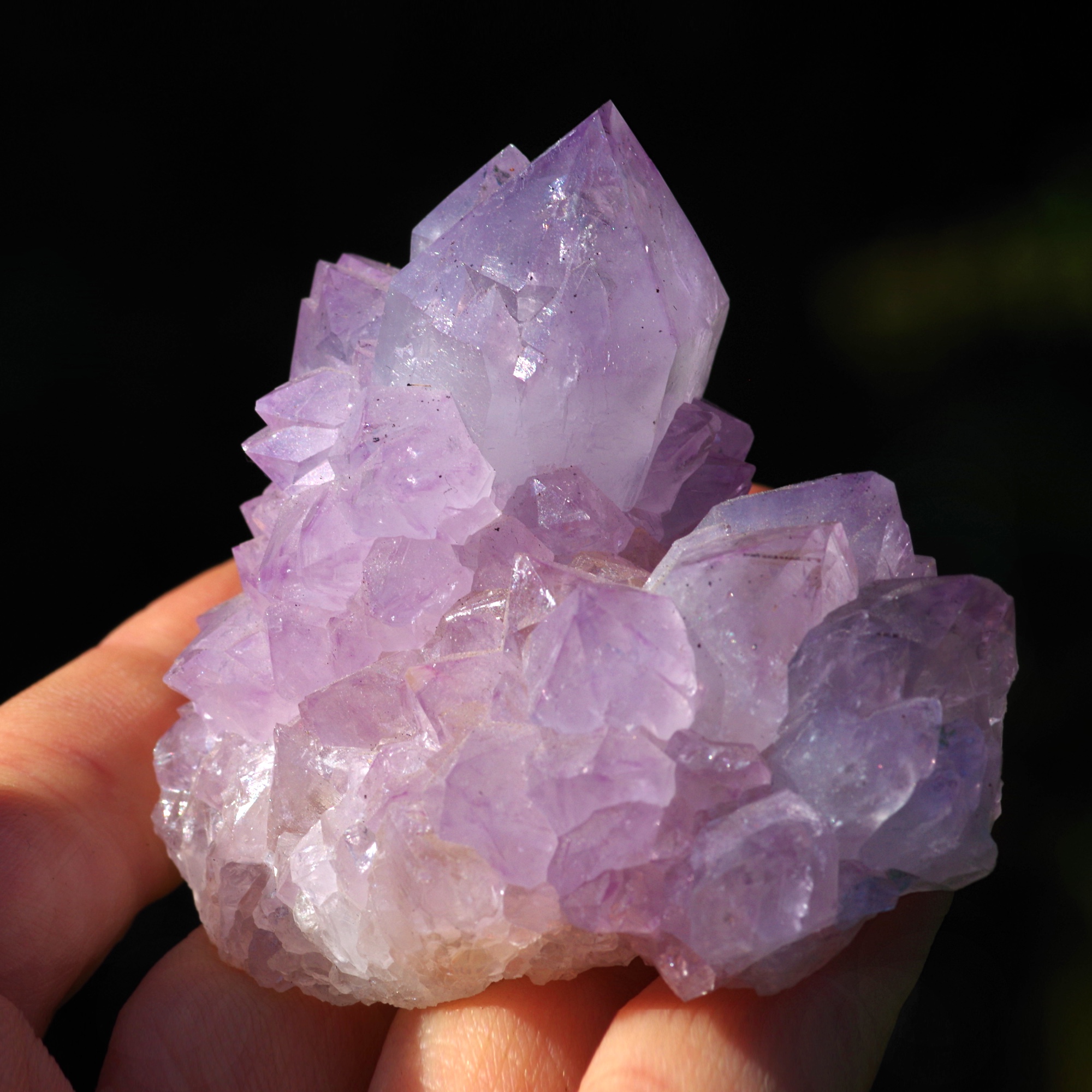 quartz cactus améthyste fantastique, Afrique du Sud