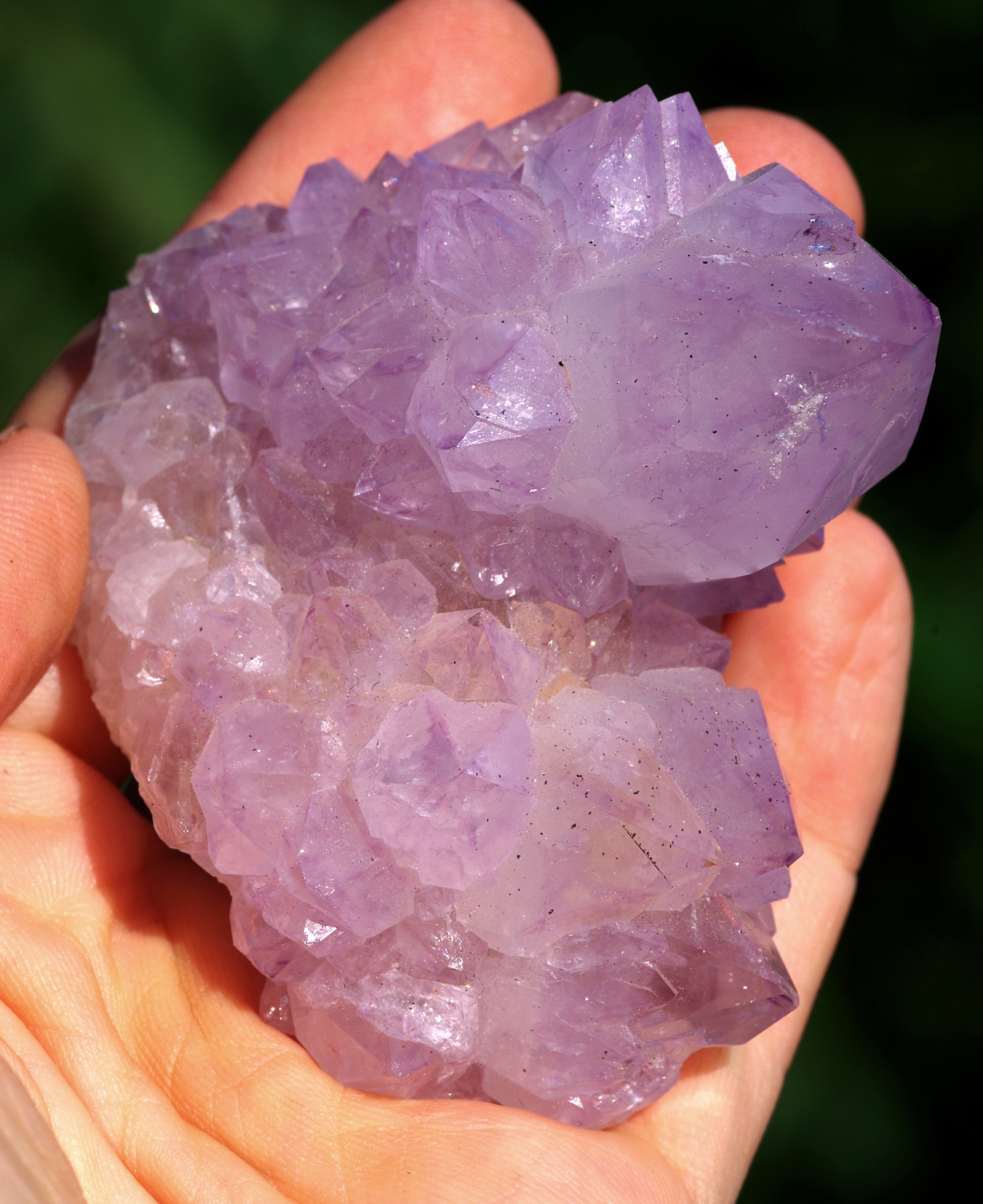 quartz cactus améthyste fantastique, Afrique du Sud