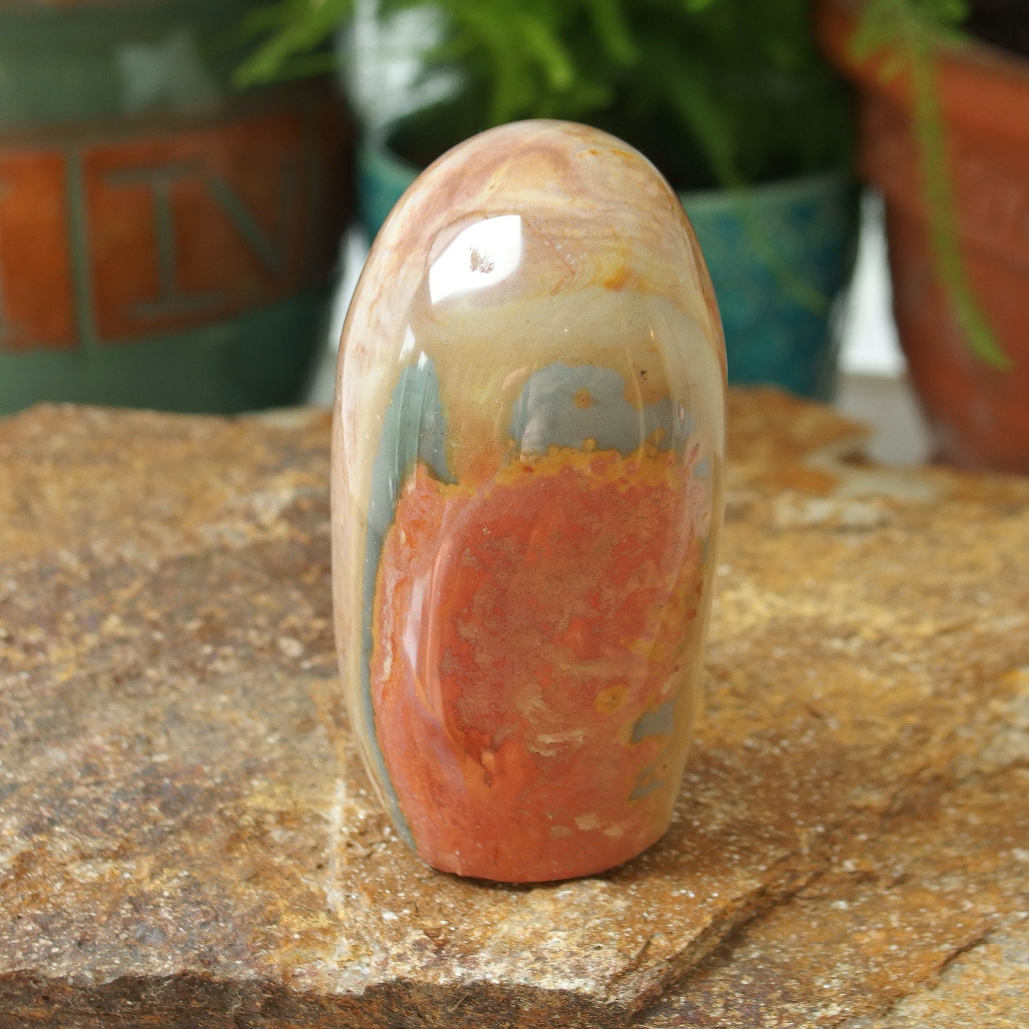 il fullxfull.5196689315 svnw.jpg