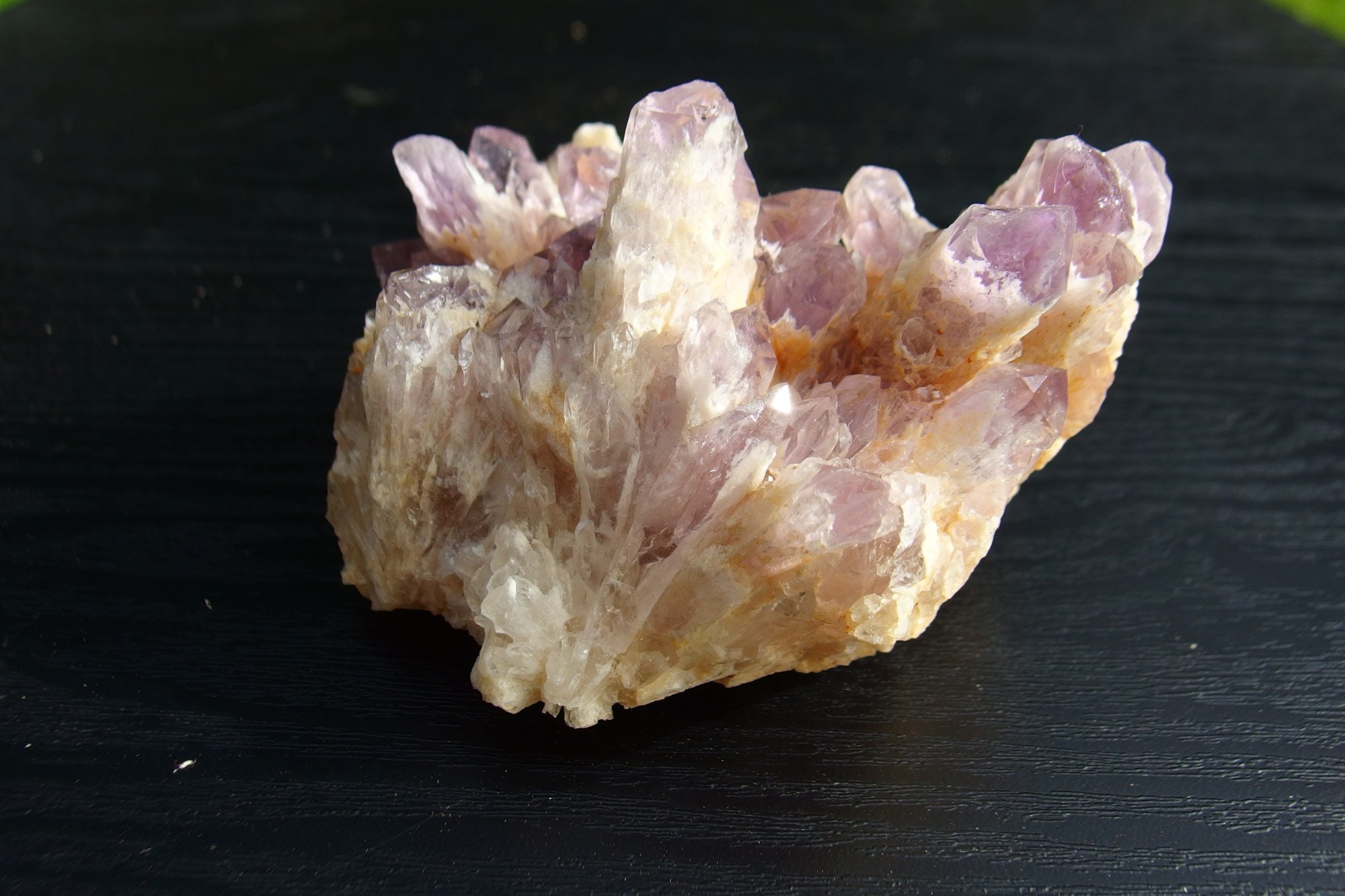 il fullxfull.6075983822 5ze2.jpg