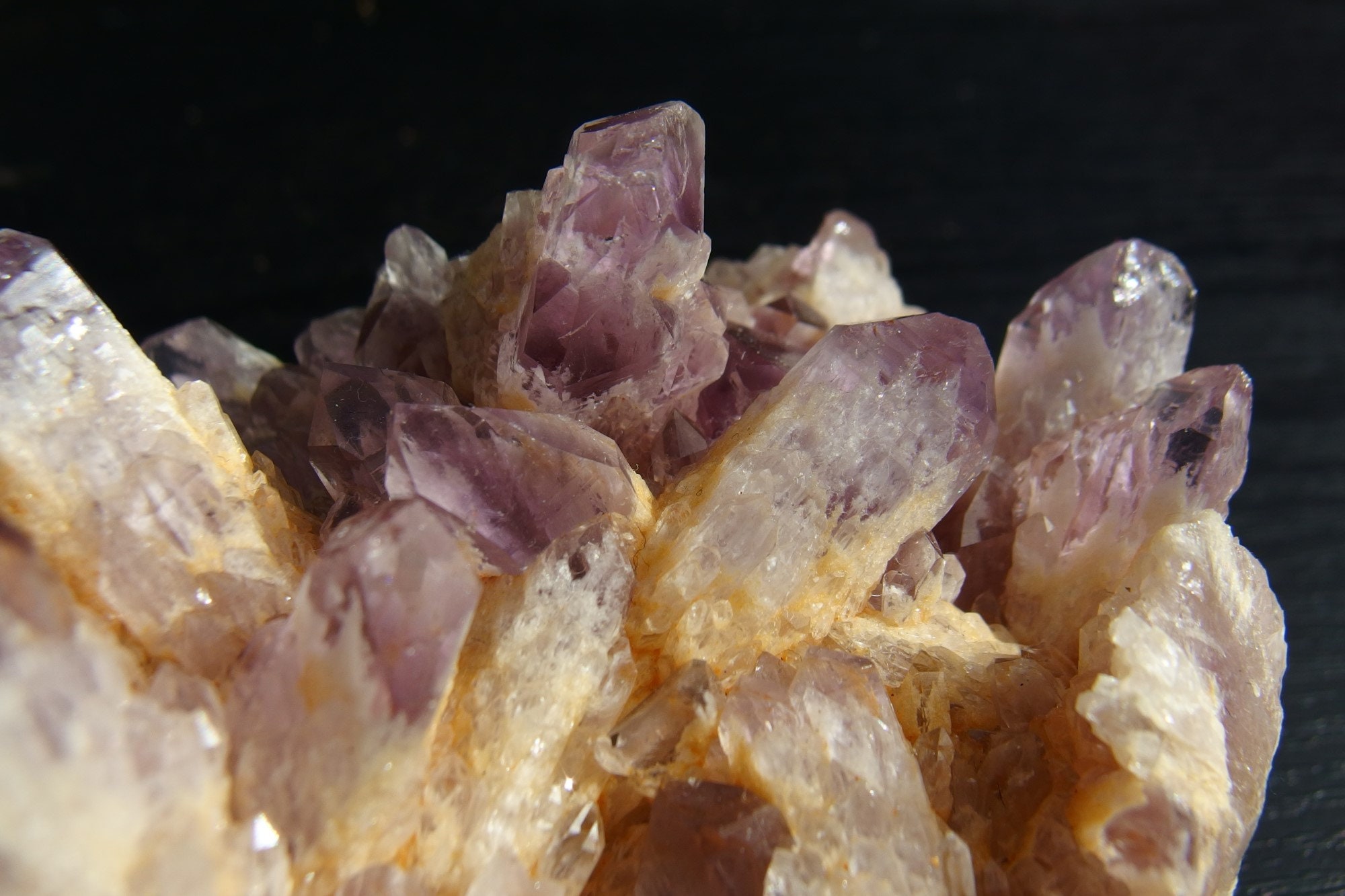 il fullxfull.6124047117 f6th.jpg