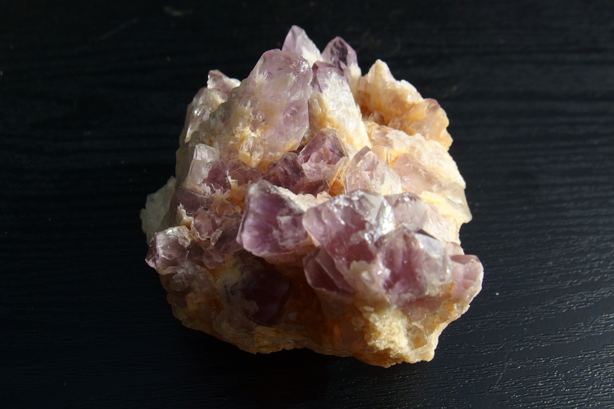 il fullxfull.6124047133 8dc4.jpg