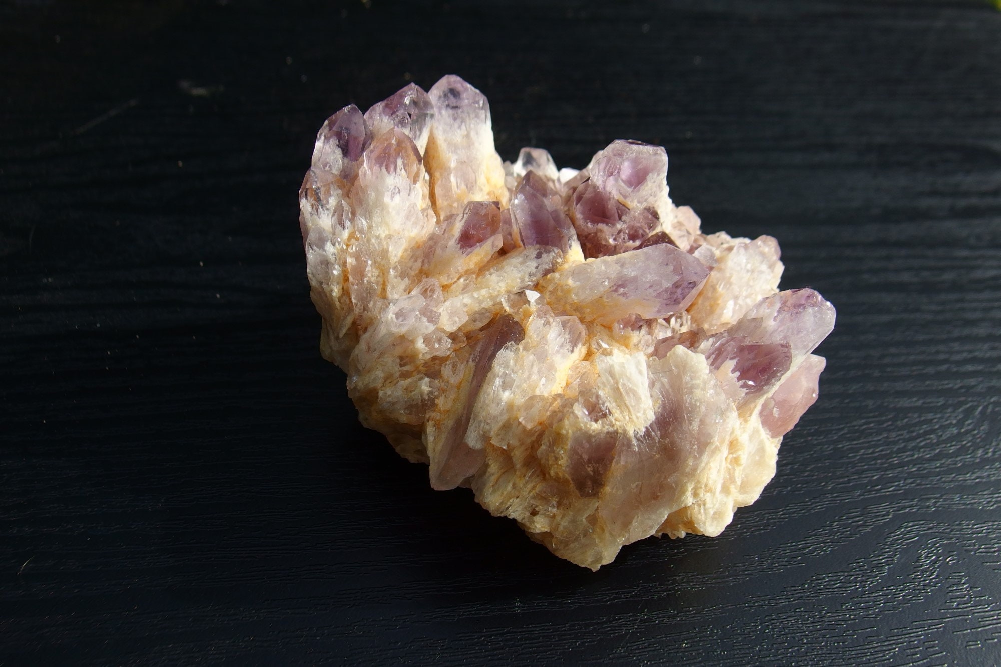 il fullxfull.6124047145 ev25.jpg