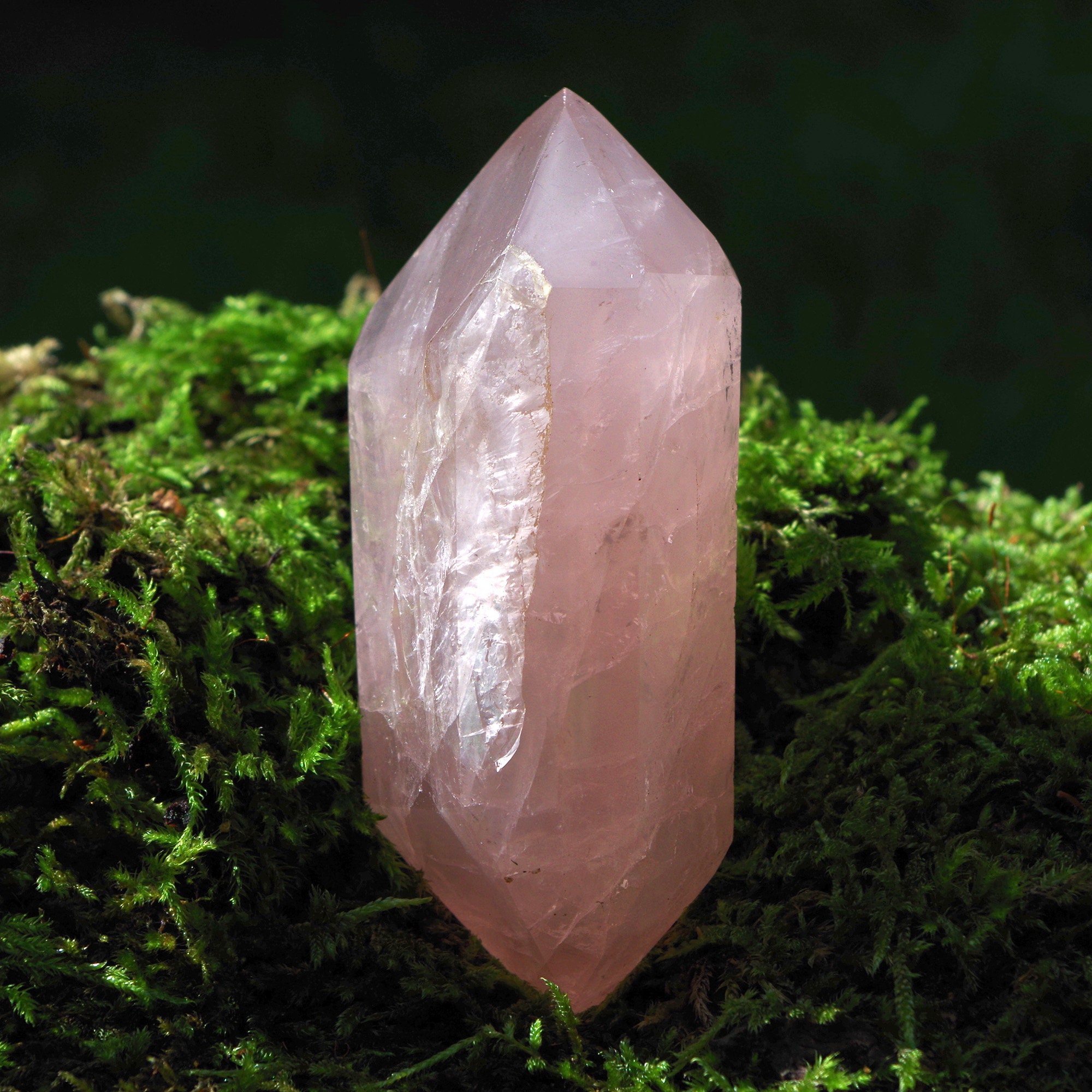 il fullxfull.6280011118 hlth.jpg