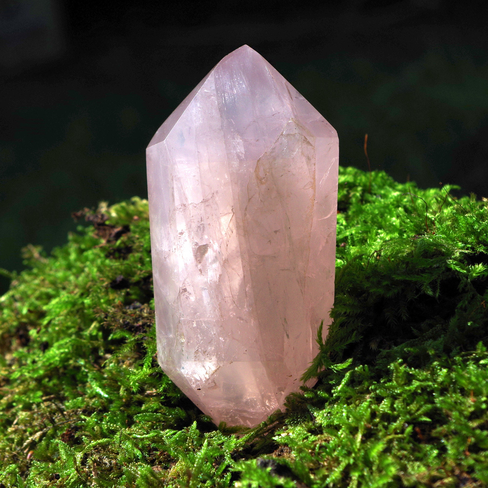 il fullxfull.6280011154 bjij.jpg