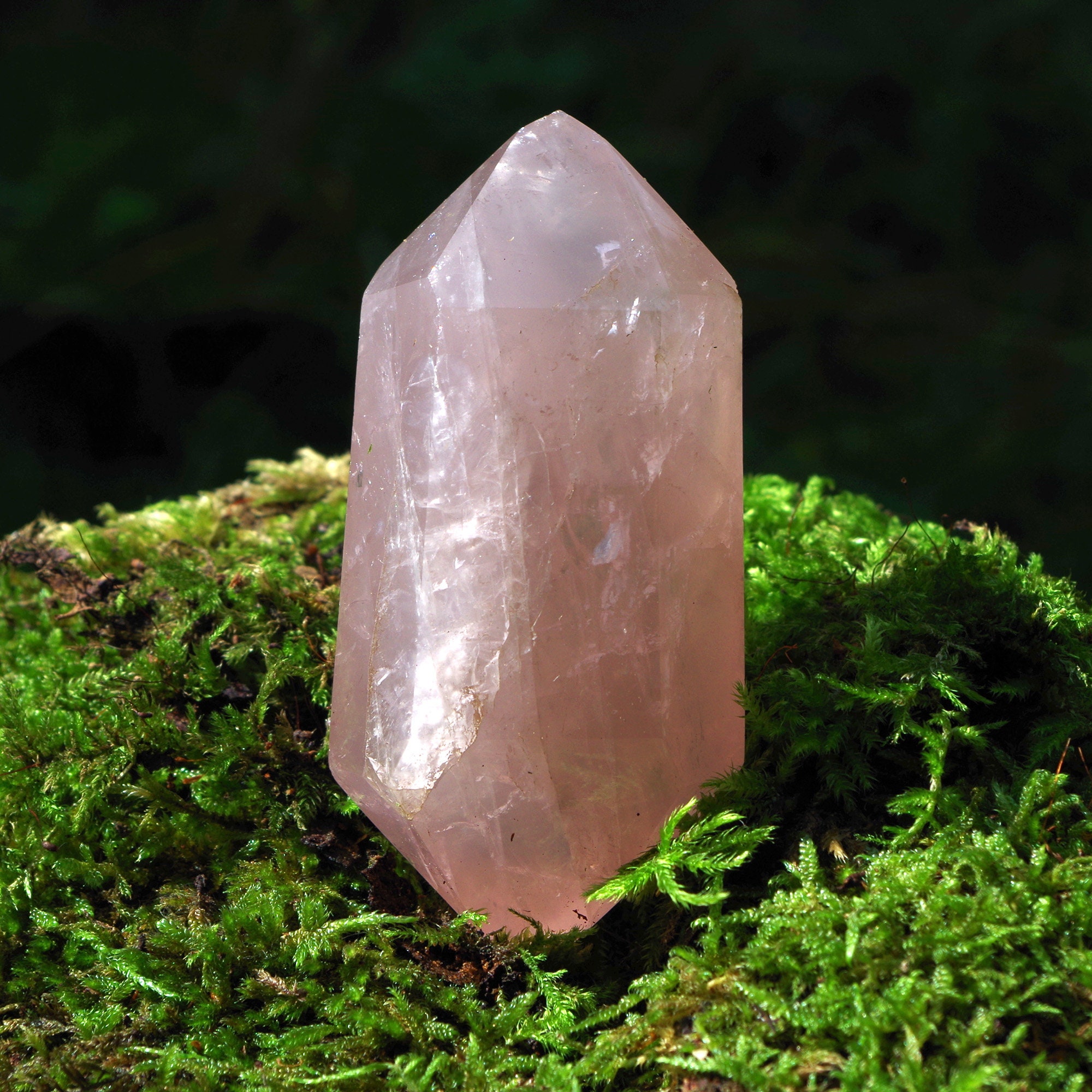 il fullxfull.6280011244 n3za 1.jpg