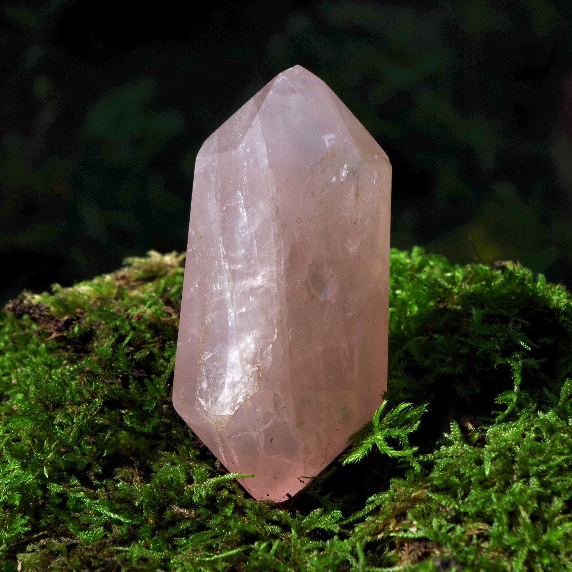 il fullxfull.6280011248 kxno.jpg