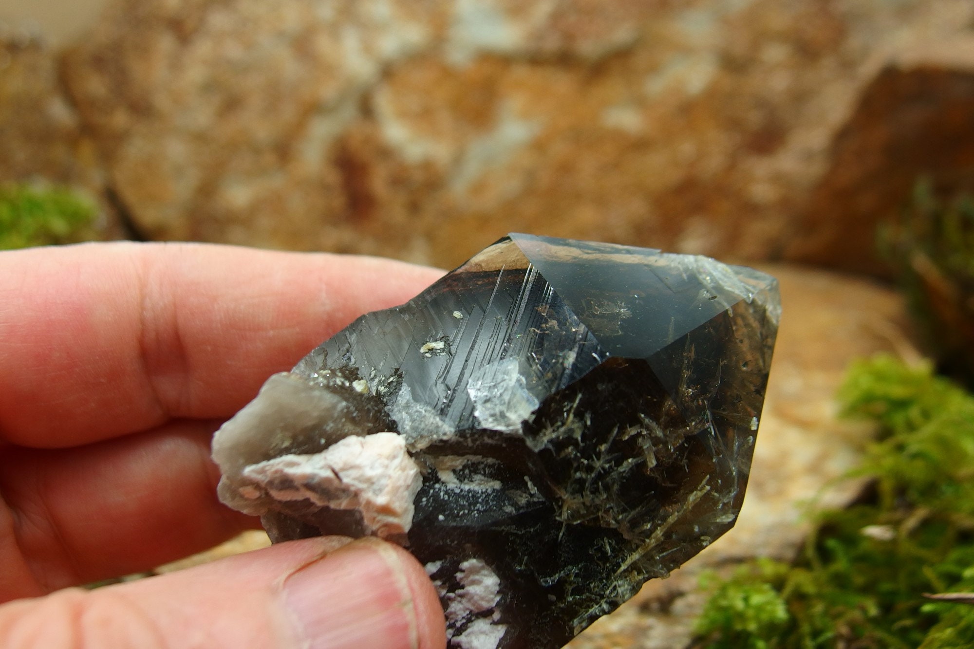 il fullxfull.6311265833 ct5y 1.jpg