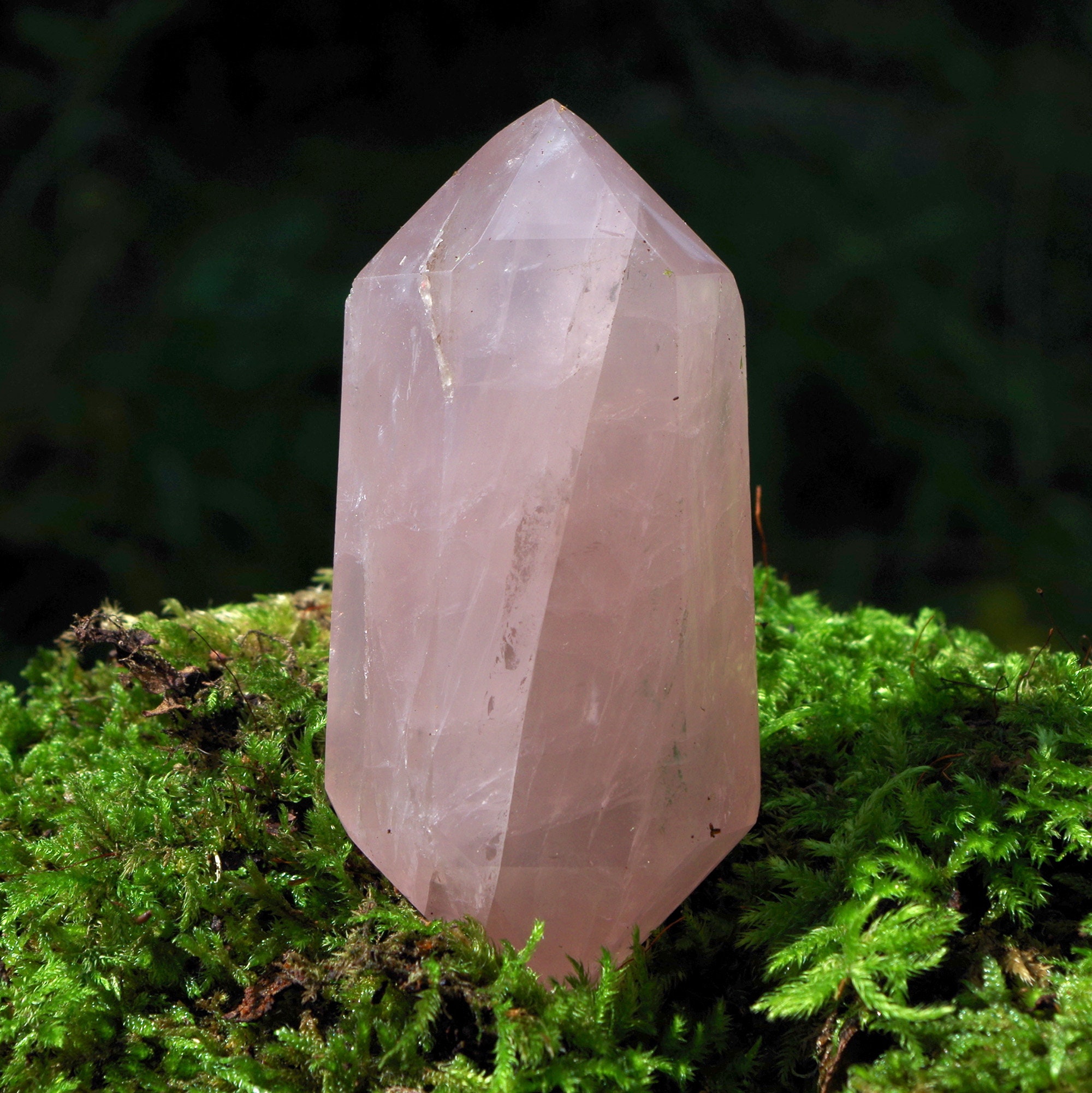 il fullxfull.6328064369 11wz.jpg